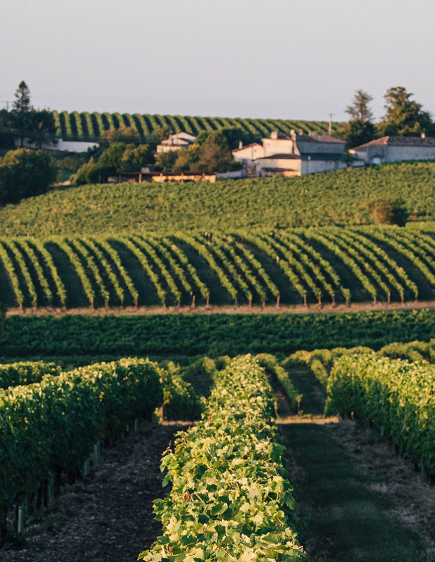 Domaine         La Rambaudie