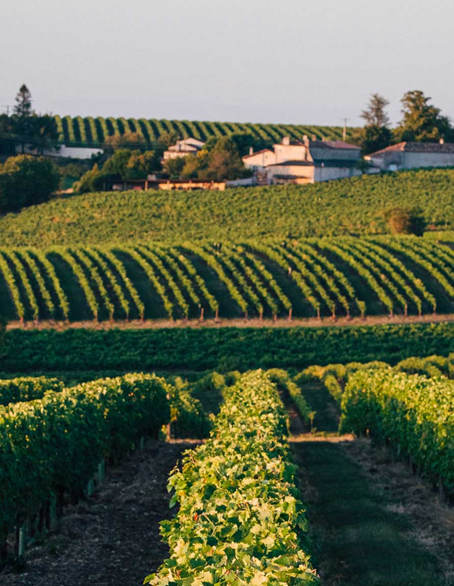 Domaine | La Rambaudie